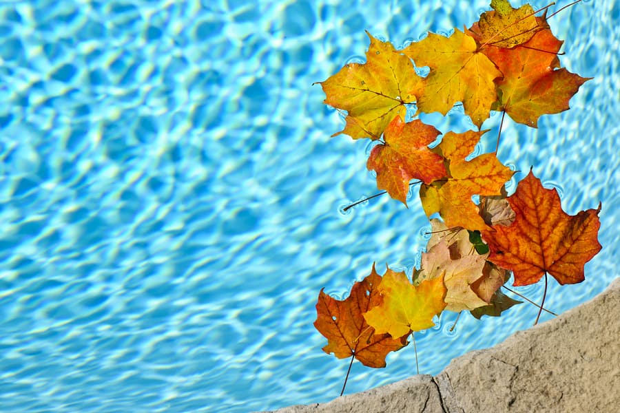 Fall Pool Maintenance Tips: Part 2
